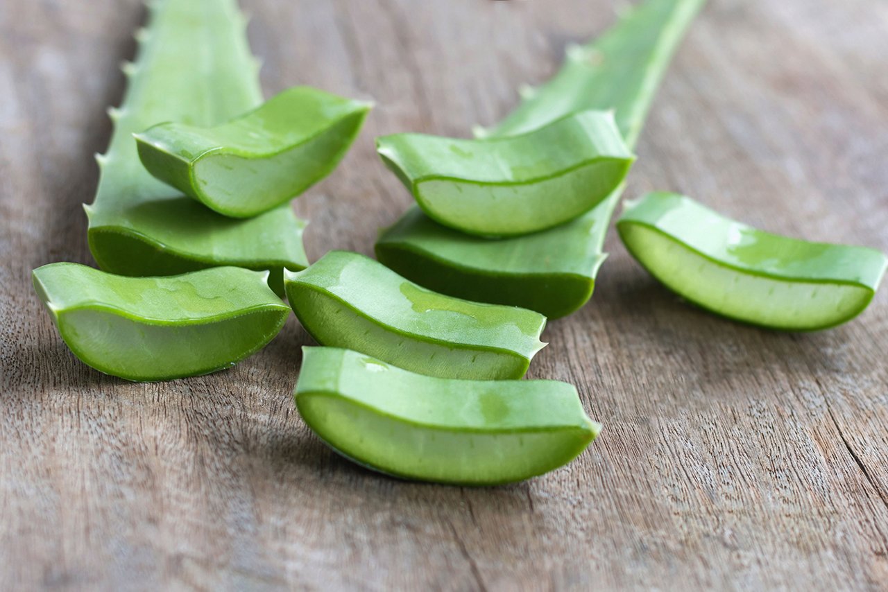 Keeping a focus on sustainability This hero image is being used on the article, "How to Use Aloe: 11 Benefits for Skincare, Digestion, and More"
